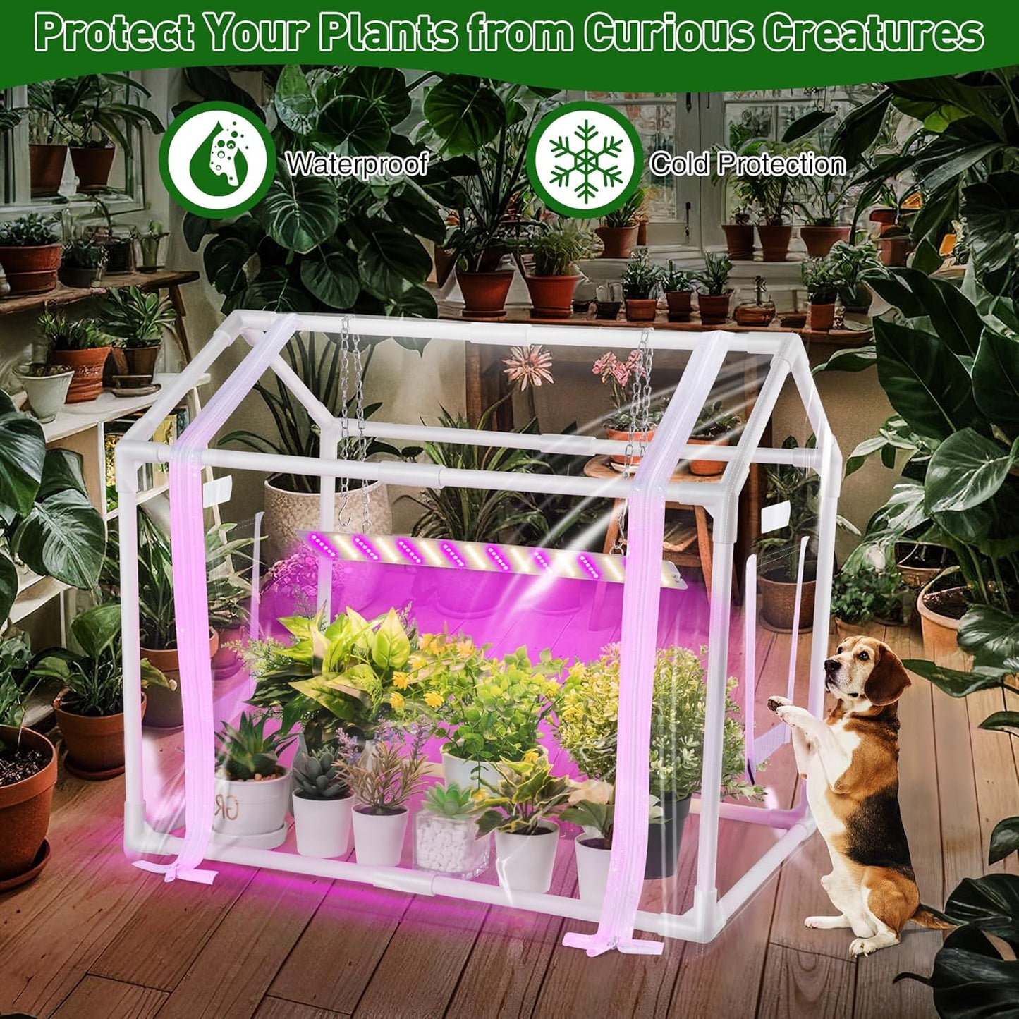 Meonum Mini Greenhouse with Grow Light for Indoor, 23.6 x15.7 x19.6 Tabletop Small Greenhouse Kit with 15W Plant Dimmable LED Grow Lights and Timer, 3 Light Color Mode for Seed Starter Tray