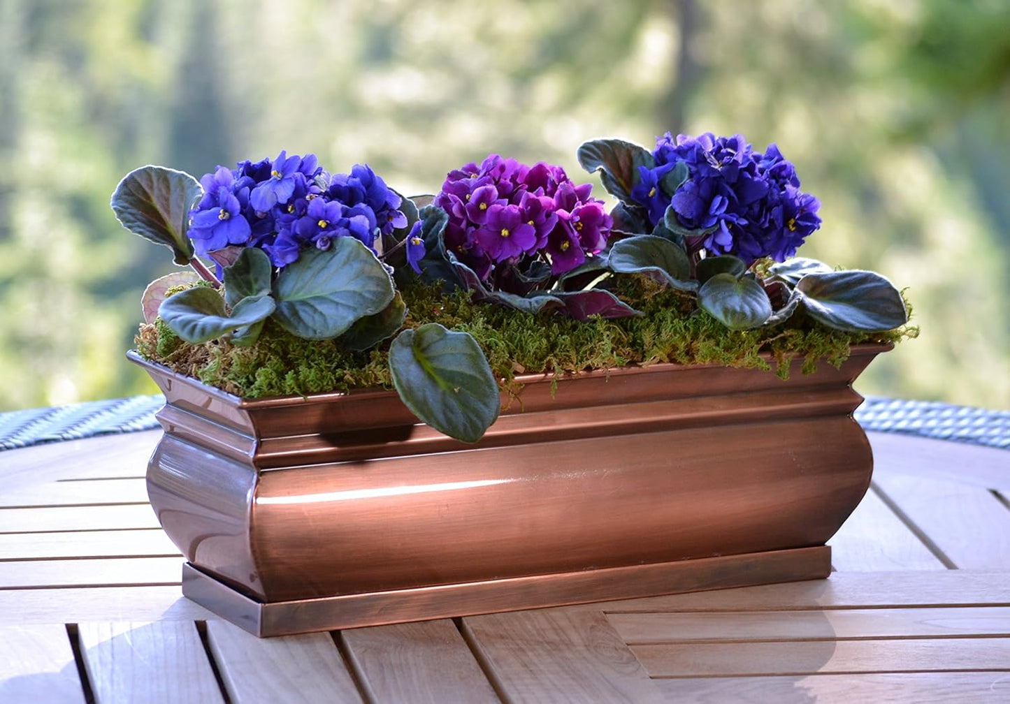 H Potter Herb Planter Pots Succulent Window Box Rectangular Indoor Outdoor Flower Garden Planters Dimensions 16 x 6 x 5.75 Inches