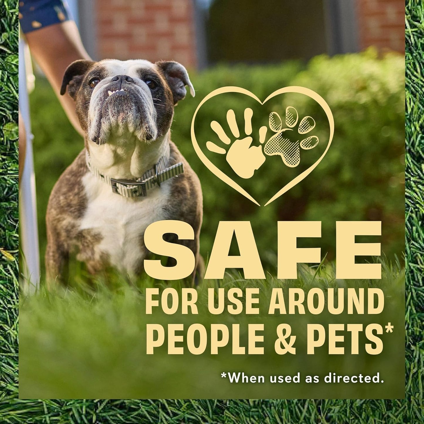 O.M. Scott and Sons Clover Seed, Lawn Seed Grows a Naturally Low Maintenance, Drought-Tolerant Lawn, 1,000 sq. ft., 2 lb., 2-Pack