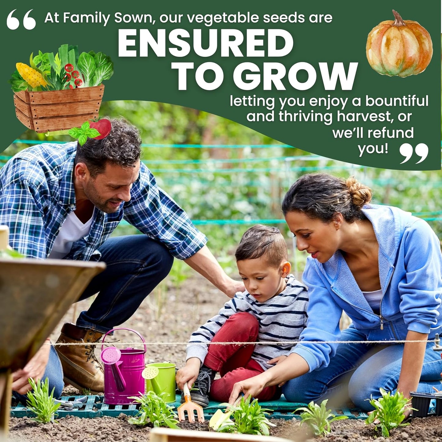 Herb Seeds | 10 Invidiual Packs | 2025 Season | Non-GMO | Mint, Parsley, Basil, Thyme & More! | for Planting Indoor & Outdoor | by Family Sown