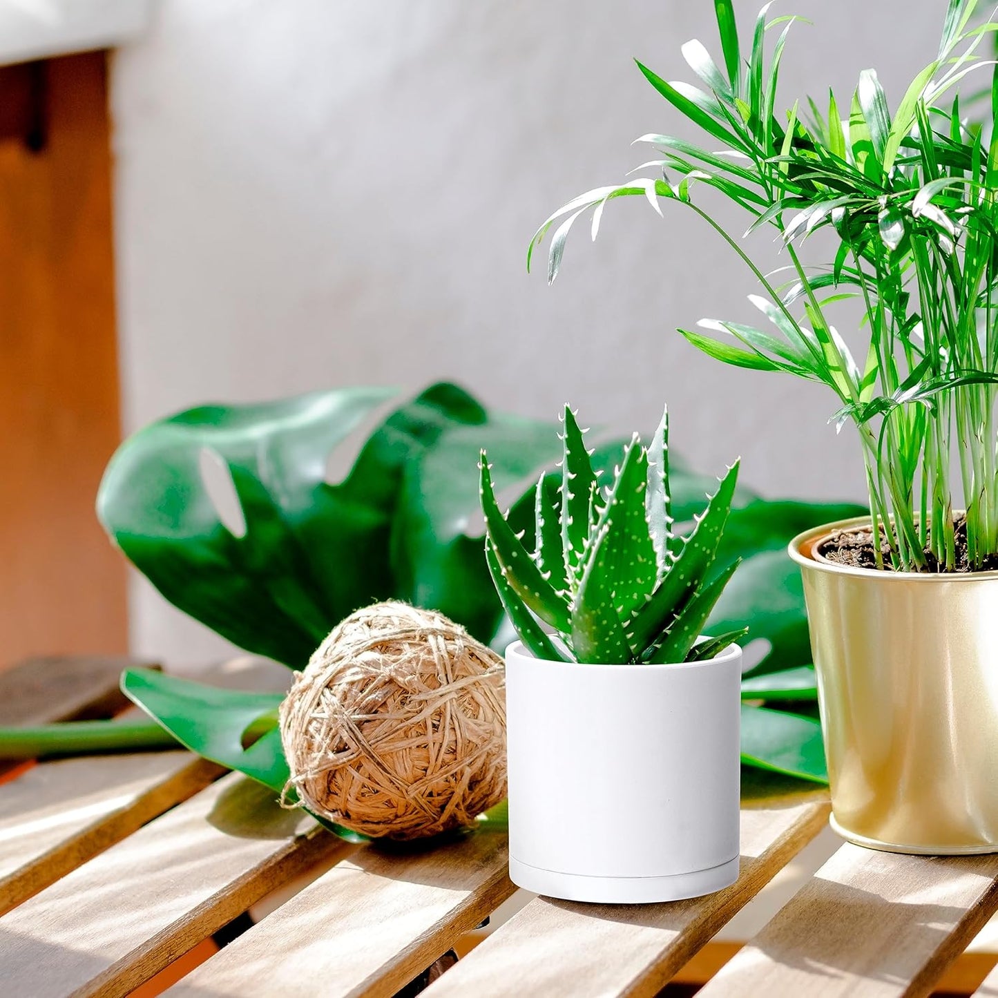 D'vine Dev 2 Pack 4.5 Inch Modern Plastic Plant Pots, Small Garden Planters for Plant with Drainage Holes and Saucers, White Color, 74-Z-F-1