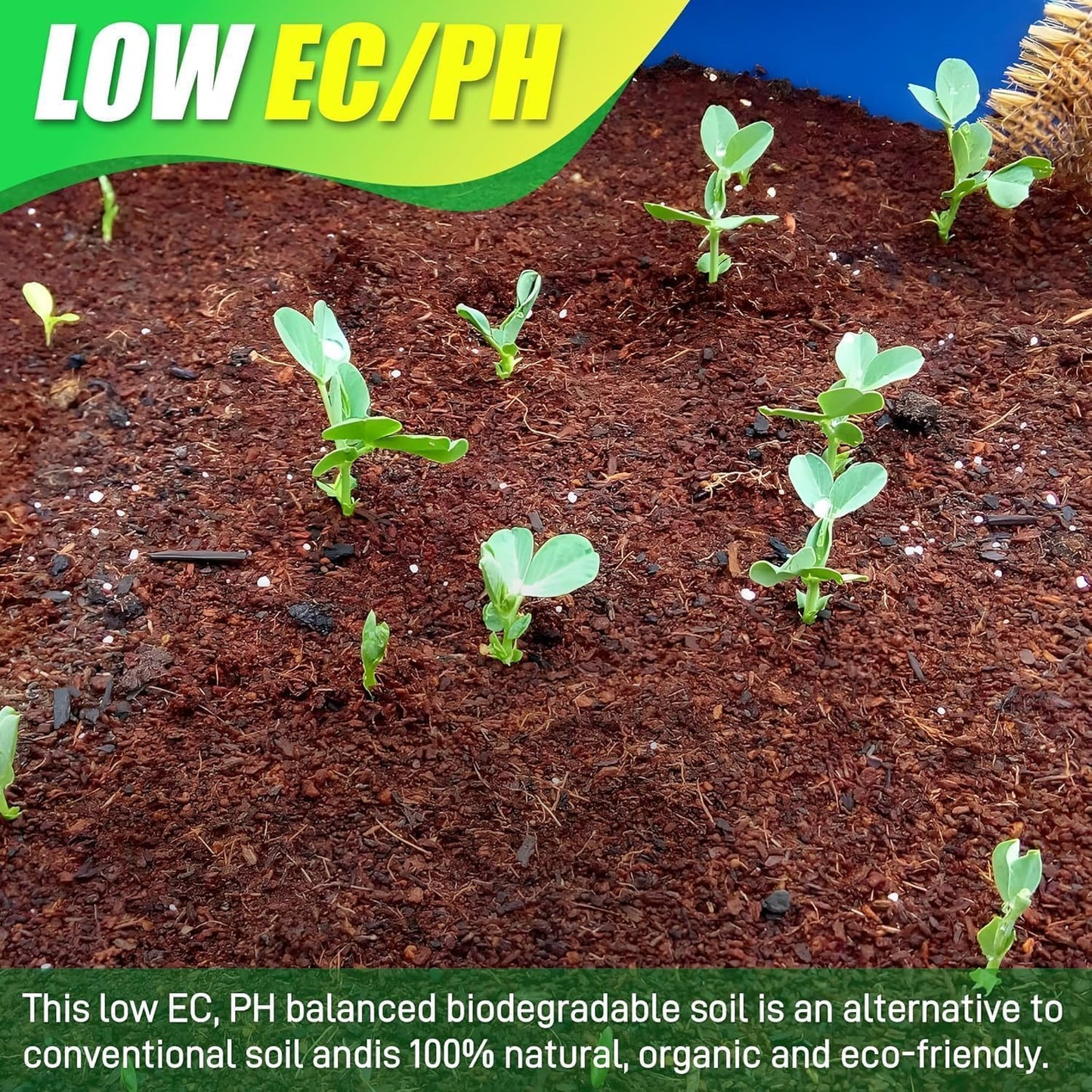 Coco Coir Brick for Plants-8 Pack Premium Coconut Bricks, 100% Organic Peat Moss, Fiber Coconut Husk for Planting, Gardening, Potting Soil Substrate