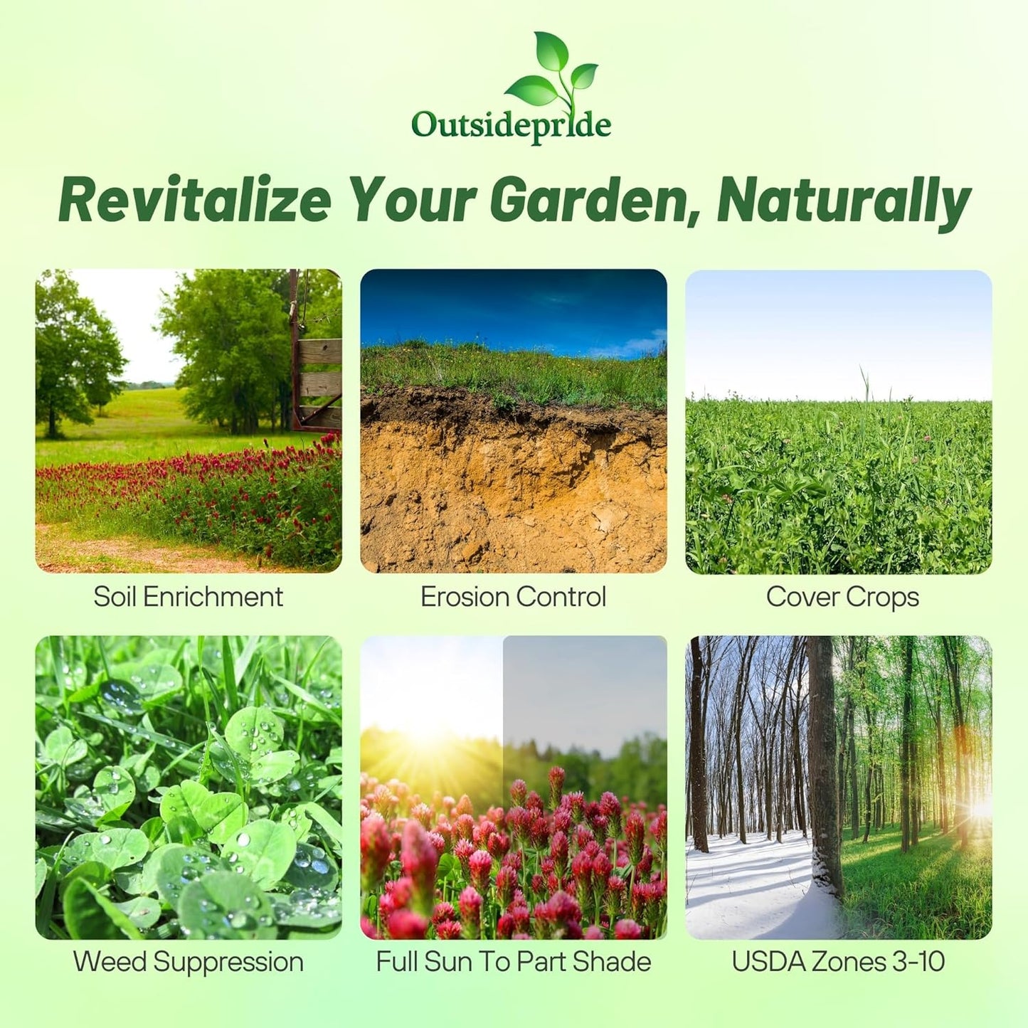 Outsidepride Gardenway Cover Crop Seeds - 10 lbs Nutrient-Rich Seed Mix for Soil Health Improvement & Home Gardens - Mixture of Triticale, Peas, Oats, Vetch, Annual Ryegrass, Crimson Clover