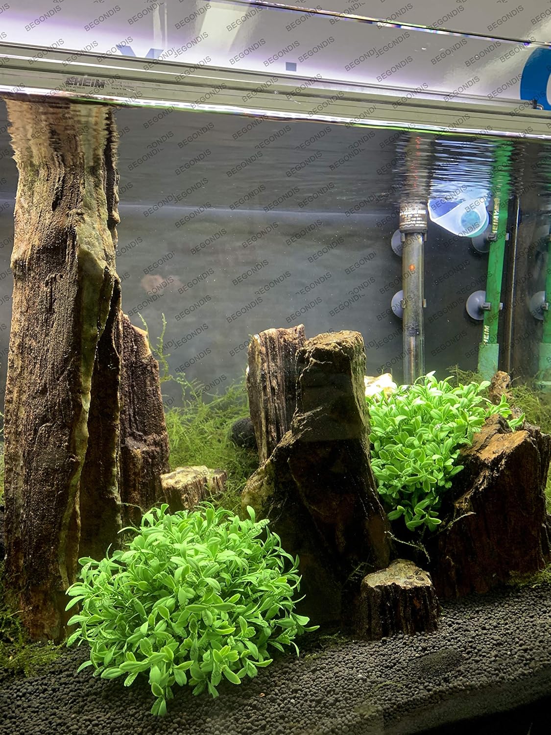 BEGONDIS Aquarium Decorations Fish Tank Artificial Green Water Plants Made of Soft Plastic, Safe for All Fish & Pets (Style-3)