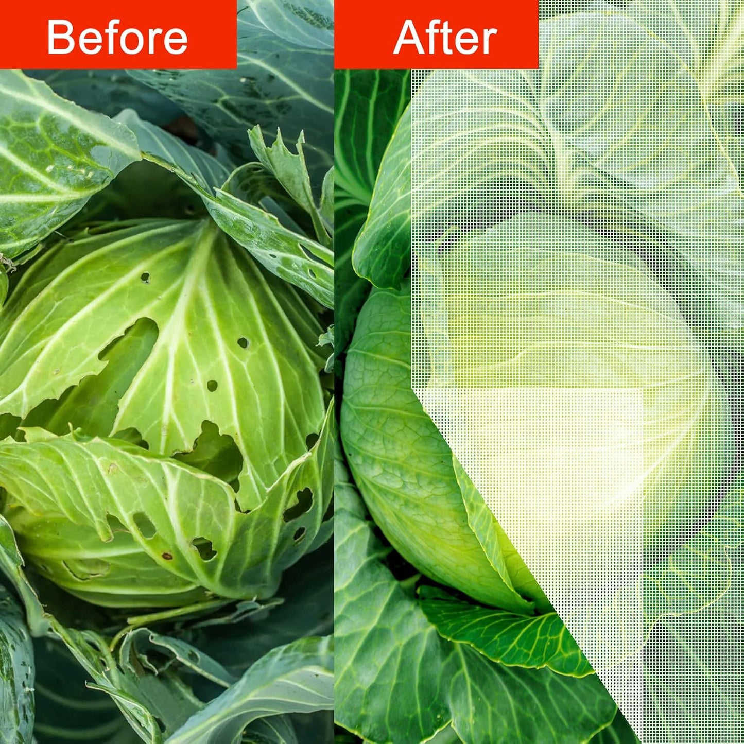 Agfabric Garden Netting 20'x50' Insect Pest Barrier Bird Netting for Garden Protection,Row Cover Mesh Netting for Vegetables Fruit Trees and Plants,White