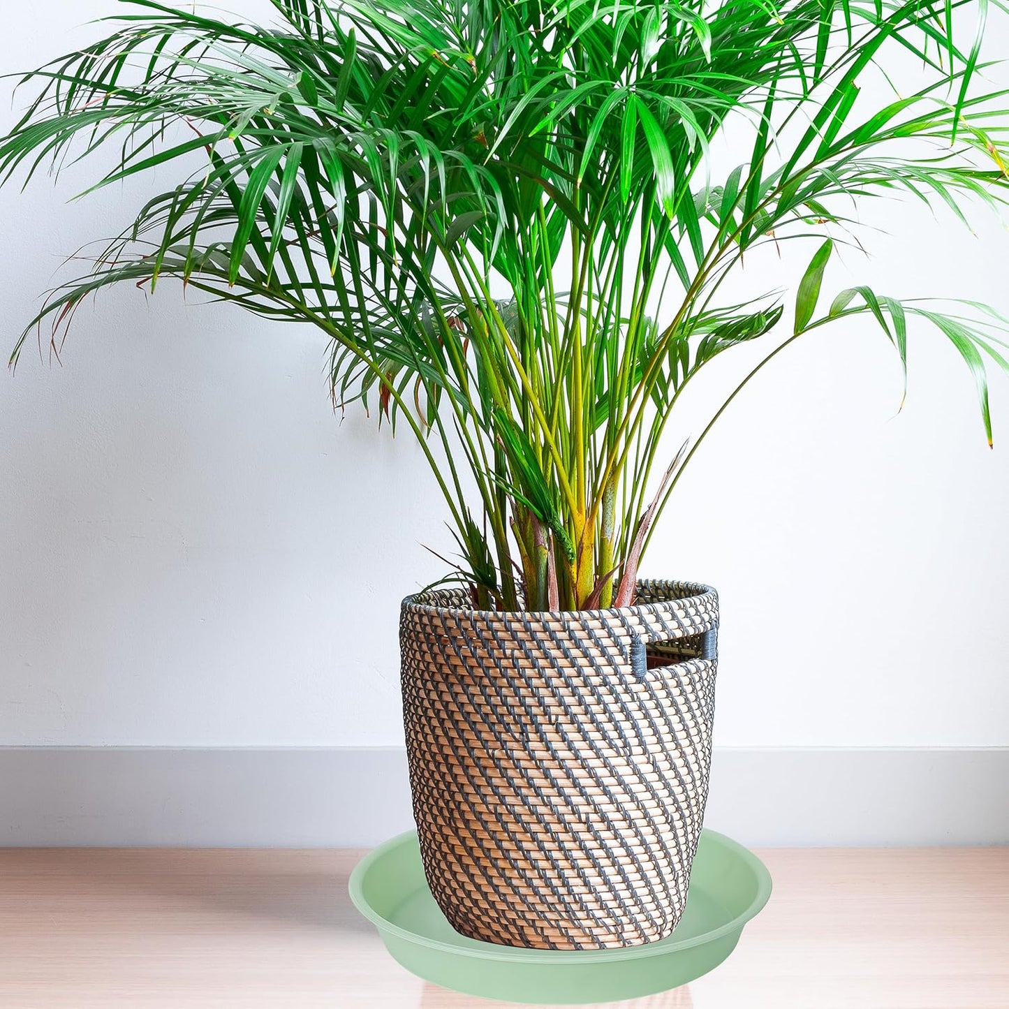 2 Pack of Bird Bath Bowl 12", 1.6" Depth, 10 12 inch Birdbath Bowls Dish Only for The Garden, Large Plant Saucer (12", Light Green)