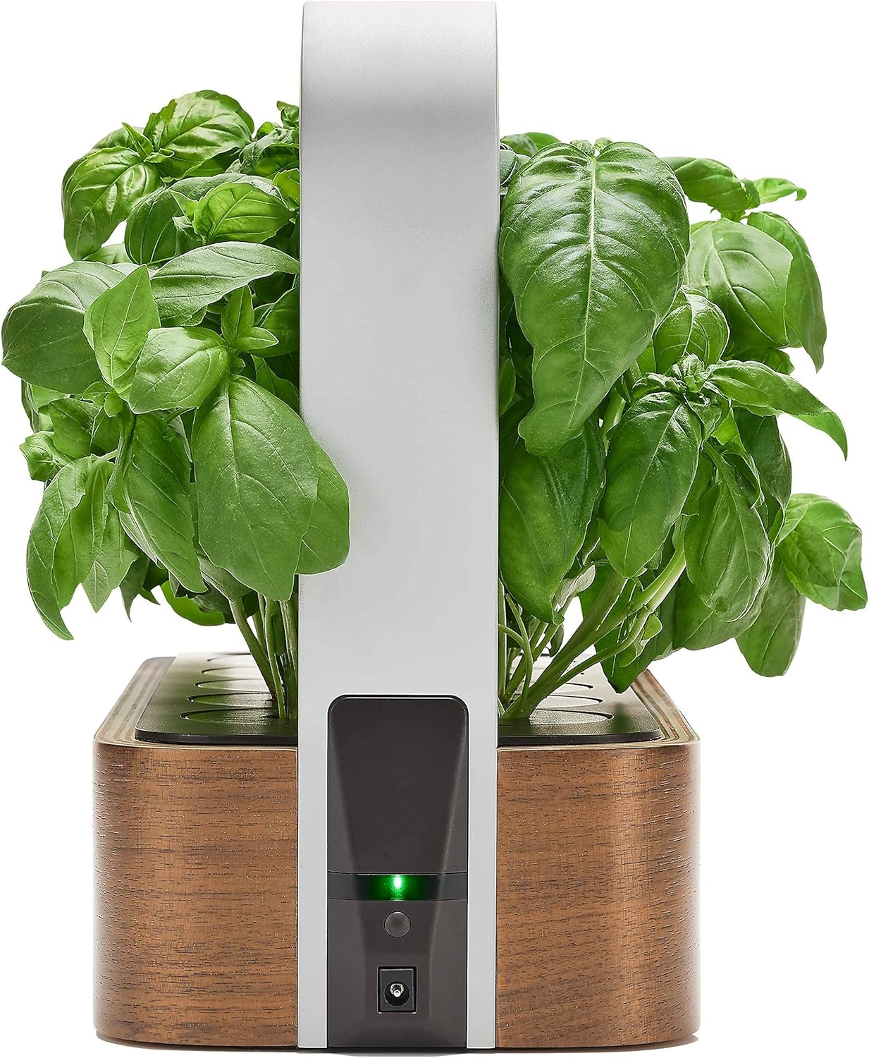 SmallGarden with Basil SeedPods, Indoor Grow Smart Garden for iOS Devices - Fresh Home Grown Herbs, Plants and Flowers - Grow up to 10 Different Plants at Once