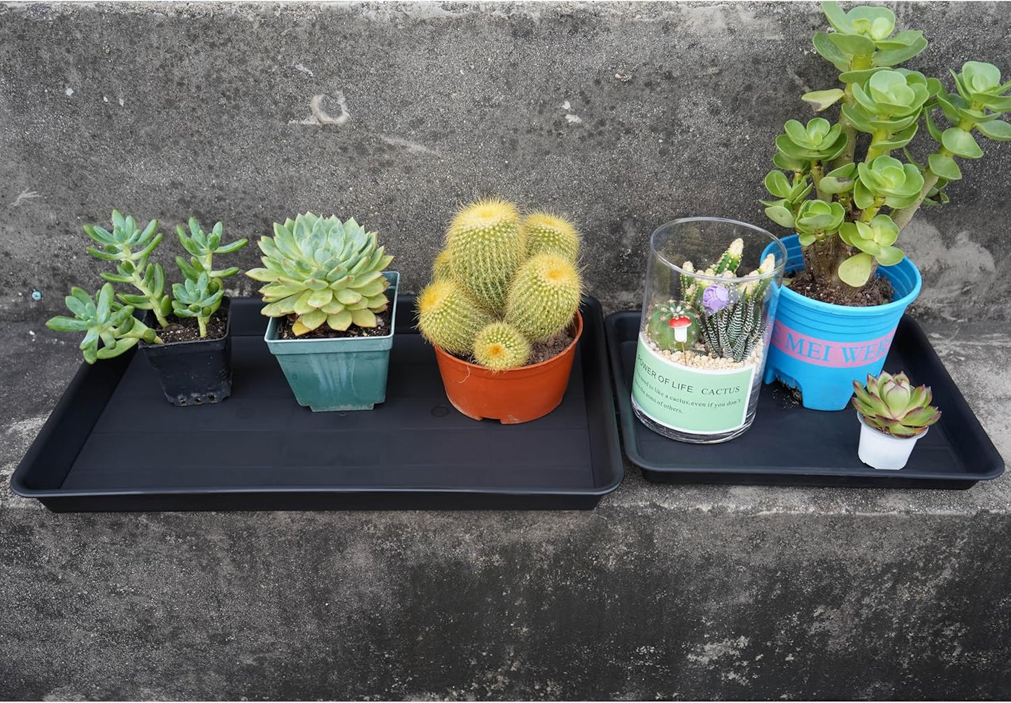 Plant Saucer Growing Tray, Seed Starter Tray Rectangular, Heavy Sturdy Plastic Plant Drainage Saucers, Plant Drip Trays for Pots, Seed Starter Growing Trays (11 x 9 inch, 6 Pack)