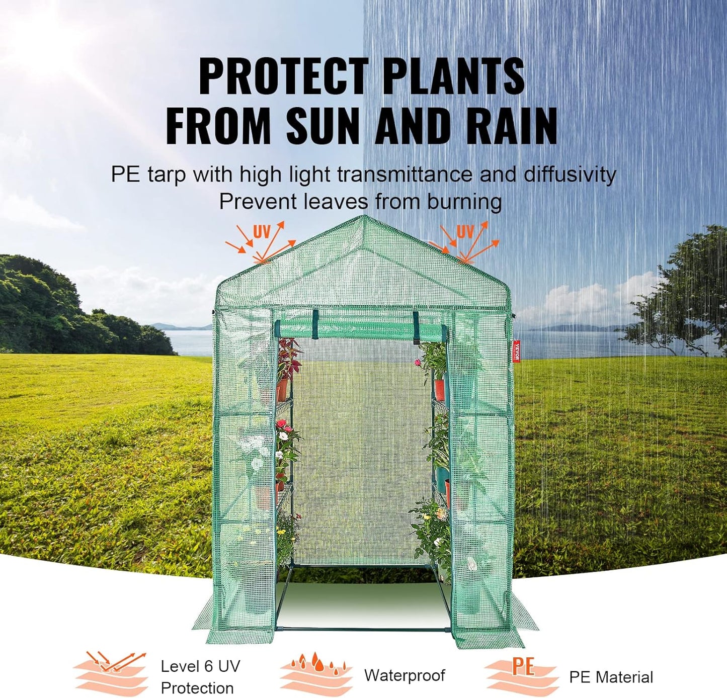 VEVOR Walk-in Green House, 55.5 x 29.3 x 80.7 inch, Portable Greenhouse with Shelves, High Strength PE Cover with Roll-up Zipper Door and Steel Frame, Set Up in Minutes, for Planting and Storage