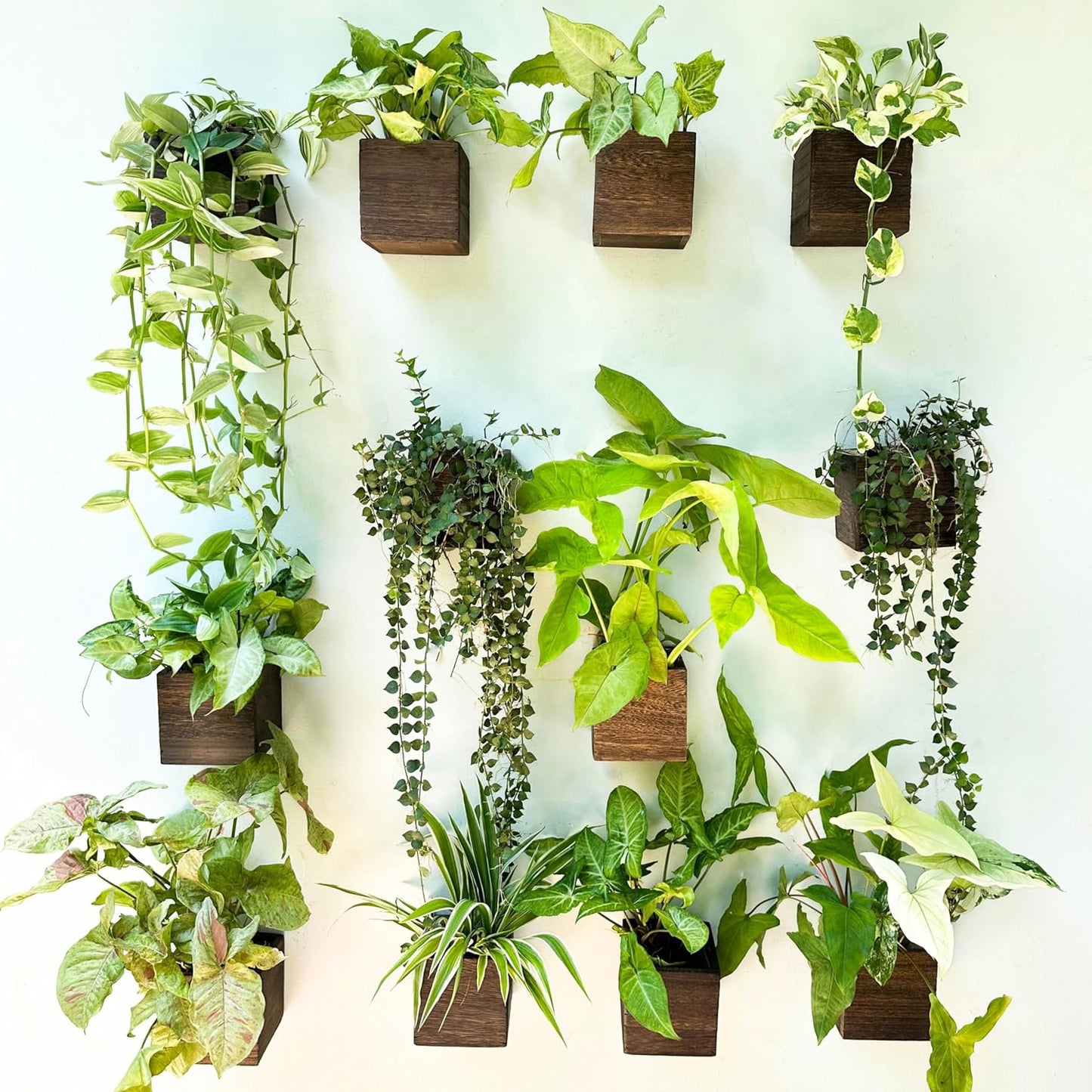 LaLaGreen Indoor Planter Box for Plants (4x4 Inch, 12 Pack) Small Square Wooden Wall Mounted Planters Wood Window Boxes Hanging Flower Pot Plant Holder Outdoor Herb Modern Vertical Garden Home Decor