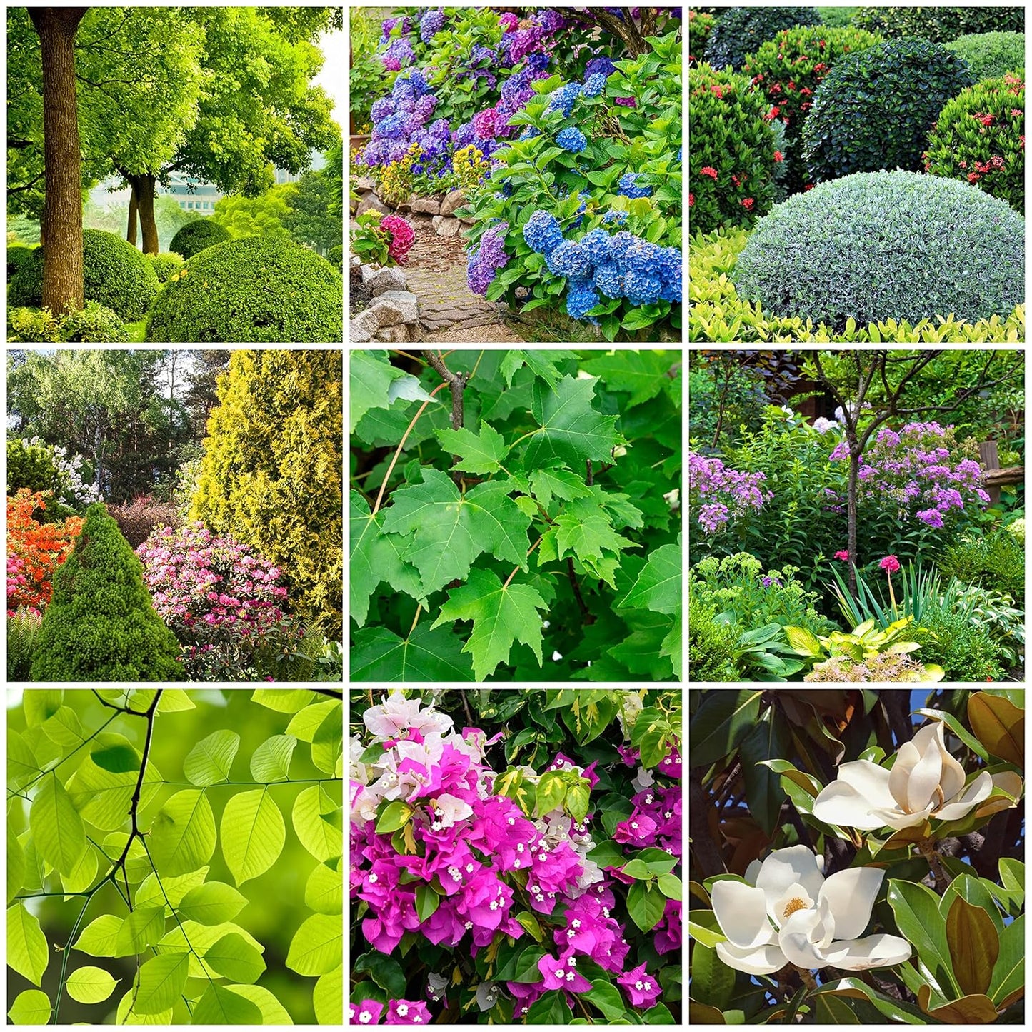 Tree & Shrub Fertilizer Spikes (12 Spikes - 3.0 Lbs)