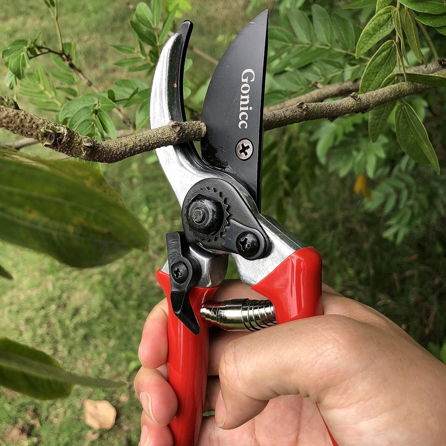 gonicc 8" Professional Sharp Bypass Pruning Shears (GPPS-1002), Tree Trimmers Secateurs,Hand Pruner, Garden Shears,Clippers For The Garden, Bonsai Scissors, Loppers