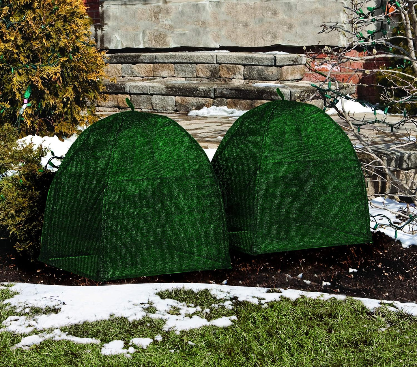 NuVue Products 22250 Winter Snow and Ice Covers for Plants, Shrubs, and Small Trees, Winter Shrub Covers for Snow and Freeze Protection, Pack of 2, Green, 22" x 22" x 22"
